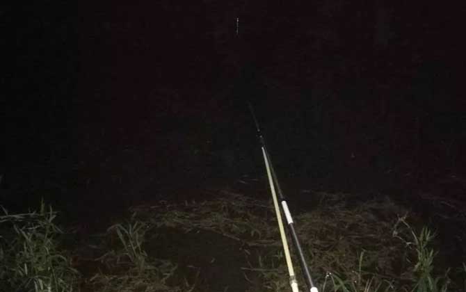 夜钓(夜钓深水还是浅水)